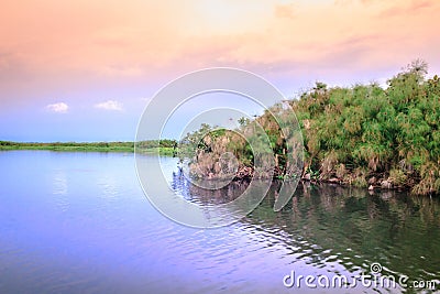 Sunset view whilst looking for Shoebill storks Balaeniceps rex bird in Mabamba Swamp from a little wooden fishing boat Stock Photo