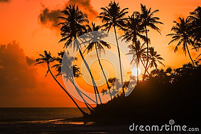 Sunset views in Galle along the coastline Stock Photo