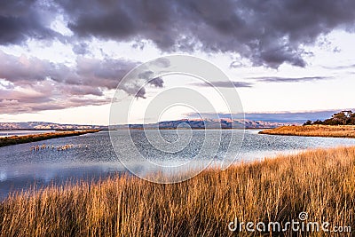 Sunset views of the restored wetlands of South San Francisco Bay Area, with dark clouds reflected on the water surface and Diablo Stock Photo