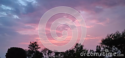 Sunset views tree orenge couldy whether Stock Photo