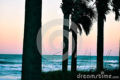 Sunsets and Palm Trees at Dusk Along the Coast of Florida Beaches in Ponce Inlet and Ormond Beach, Florida Stock Photo