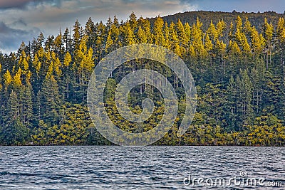 Sunsetting on trees across a lake Stock Photo