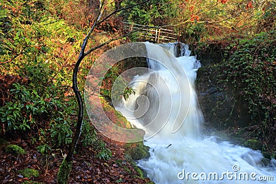 Beautiful Waterfall in Autumn along Charlie`s Trail, Hatley Castle Park, Victoria, Vancouver Island, British Columbia, Canada Stock Photo