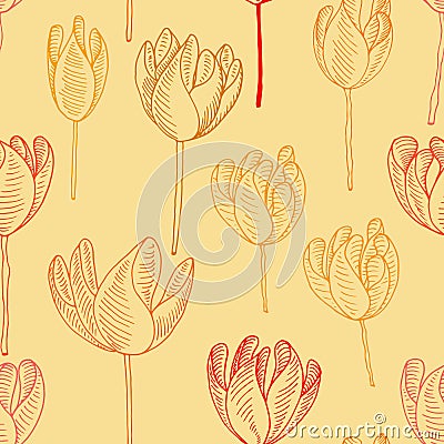 Sunshine Desert Tulips Stock Photo