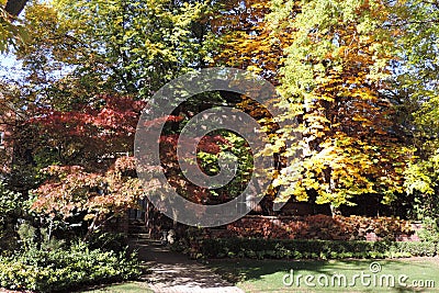 Sunshine on fall leaves of trees at a home`s entrance Stock Photo