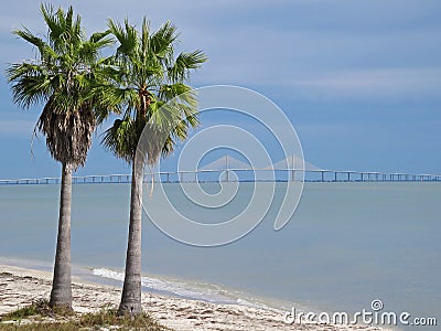 Sunshine Skyway Bridge crossing Tampa Bay in Florida with palm trees, Florida, USA Stock Photo