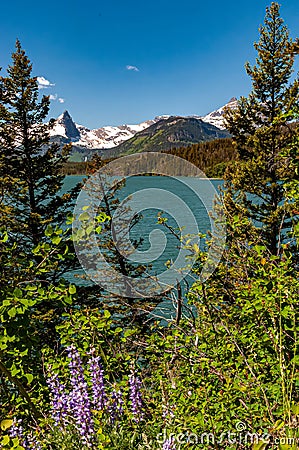 Sunspot Point in Glacier National Park Stock Photo