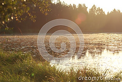 Sunup under early morning pine forest lake Stock Photo