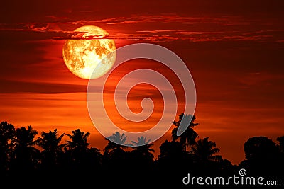 super blood snow moon back silhouette tree on dark red sky Stock Photo