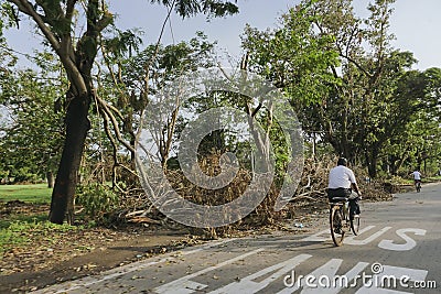 Super cyclone Amphan caused devastation, West Bengal, India Editorial Stock Photo