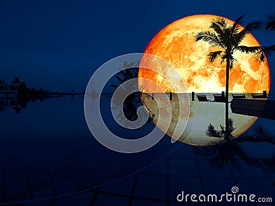 super full blood moon reflection coconut swimming pool Stock Photo