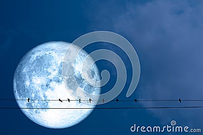 super full blue moon and silhouette birds hang on power electric Stock Photo