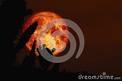 super full dark blood moon back silhouette cactus in desert land Stock Photo