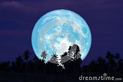 super full harvest moon on night sky back trees in the field Stock Photo