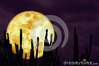 Super harvest blood moon and silhouette cactus tree in the desert on night sky Stock Photo