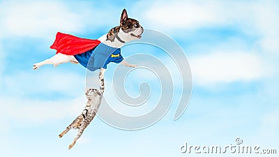 Super Hero Dog Flying Over White Stock Photo