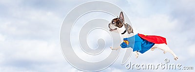 Super Hero Dog Flying Through Sky Stock Photo