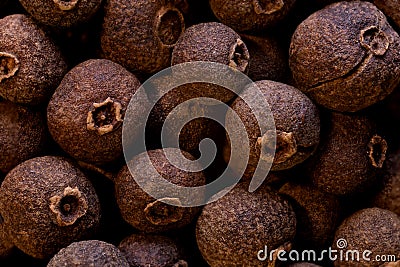 super macro shot of allspice dry pepper in detail very close. food spice background.. Stock Photo