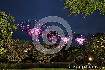 Super Trees at Gardens By The Bay, Singapore Stock Photo