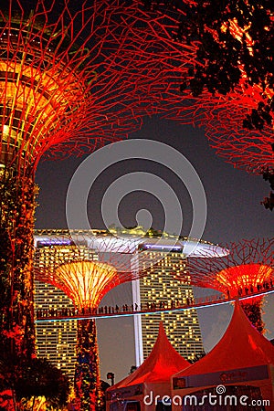 Super Trees at Gardens by the Bay Singapore, Night Scene Editorial Stock Photo