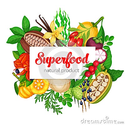 Superfood fruits and beries Vector Illustration