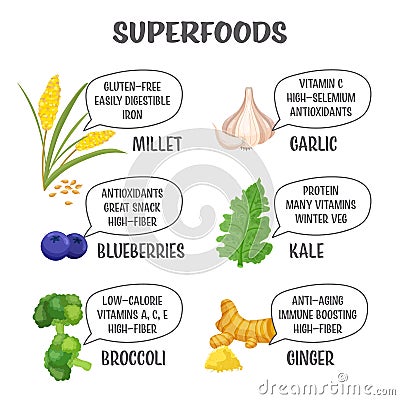 Superfoods collection. Millet, blueberry, broccoli, garlic, kale, ginger. Vector Illustration