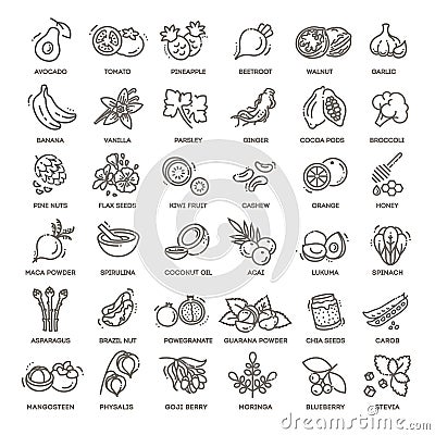 Superfoods line vector icons. Health and diet Vector Illustration