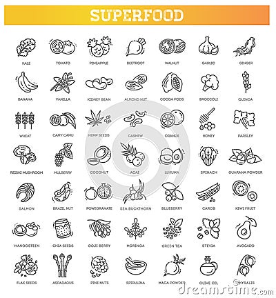 Superfoods line vector icons. Organic superfoods Vector Illustration