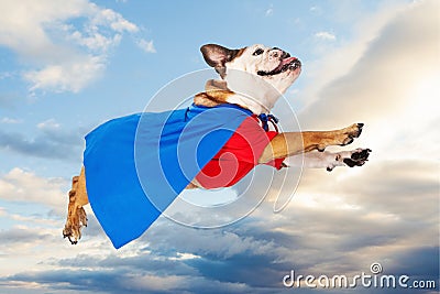 Superhero Dog Flying Through Clouds Stock Photo