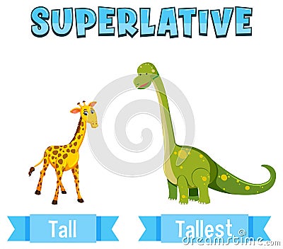 Superlative Adjectives for word tall Vector Illustration