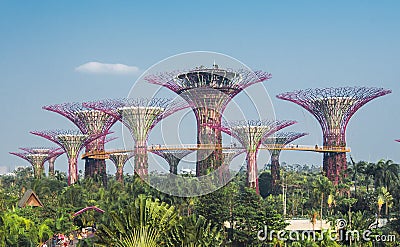 Supertree grove in garden by the bay Editorial Stock Photo