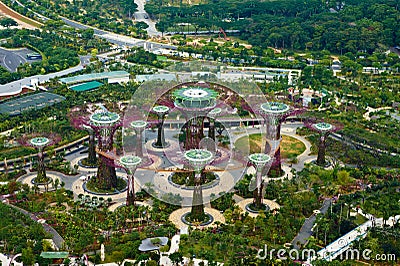 Supertree Grove at Gardens by the Bay, Singapore Editorial Stock Photo