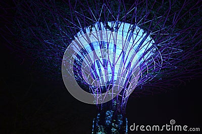 Supertree Grove, Gardens by the Bay in Singapore Stock Photo