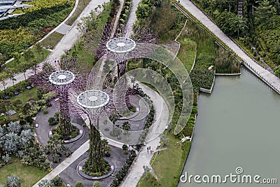 Supertree Grove at Gardens by the Bay in Singapore Editorial Stock Photo