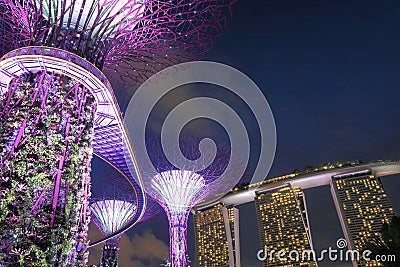 Supertree Grove and Marina Bay Sands Singapore Editorial Stock Photo
