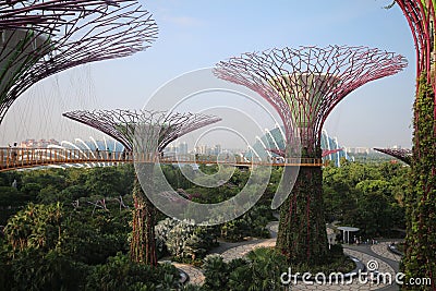 Supertree Grove in Singapore. Editorial Stock Photo