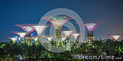 Supertree grove in Singapore Editorial Stock Photo