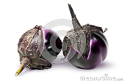 Supine and standing round ripe eggplants Stock Photo