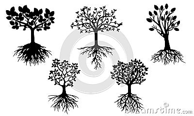 Forest Silhouettes Of Wonderful Long Roots Tree Collection Set Vector Art Design Vector Illustration