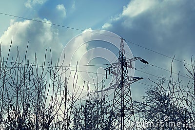 Support or tower power lines against the dark sky and tree branches. Stock Photo