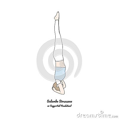 Supported Headstand Salamba Sirsasana. Vector Vector Illustration