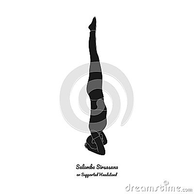 Supported Headstand Salamba Sirsasana. Vector Vector Illustration