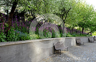 Supporting concrete wall, path made of granite cubes and park benches. wooden railings. decorative purple perennials bloom in a fl Stock Photo