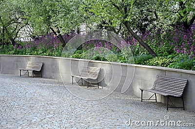 Supporting concrete wall, path made of granite cubes and park benches. wooden railings. decorative purple perennials bloom in a fl Stock Photo