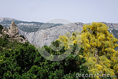 Supramonte, sardinia, italy, europe, view Editorial Stock Photo