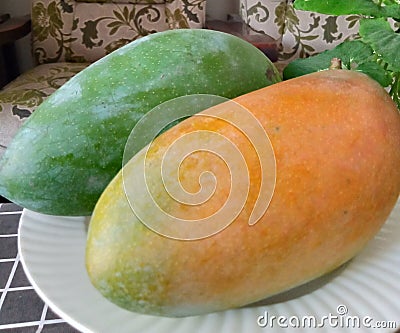 SURABAYA, October 09, 2023. MANGO FRUIT CONTAINS SEVERAL VITAMINS, MINERALS AND ANTI-OXIDANTS THAT ARE BENEFICIAL FOR THE BODY. Stock Photo