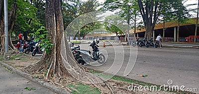 Motorbike Parking Area Editorial Stock Photo