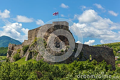 Fortress Surami. Stock Photo