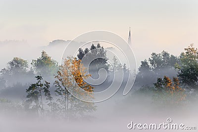 A sureal misty landscape in Flanders Stock Photo