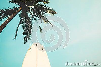 Surf board with palm tree in summer season Stock Photo